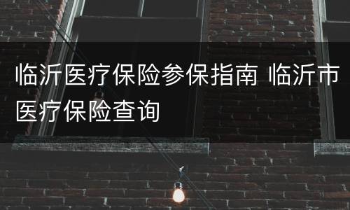 临沂医疗保险参保指南 临沂市医疗保险查询
