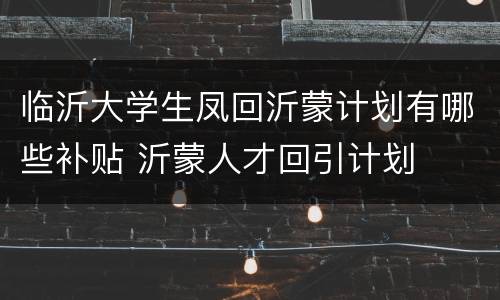 临沂大学生凤回沂蒙计划有哪些补贴 沂蒙人才回引计划