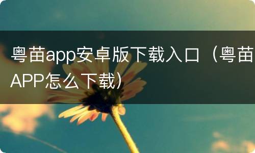 粤苗app安卓版下载入口（粤苗APP怎么下载）