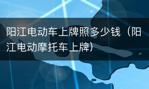 阳江电动车上牌照多少钱（阳江电动摩托车上牌）