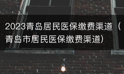 2023青岛居民医保缴费渠道（青岛市居民医保缴费渠道）