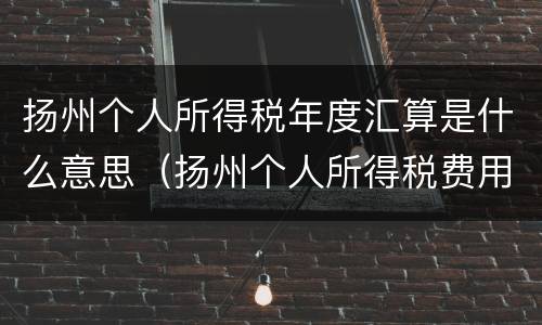扬州个人所得税年度汇算是什么意思（扬州个人所得税费用扣除标准）