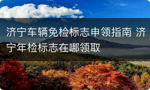 济宁车辆免检标志申领指南 济宁年检标志在哪领取