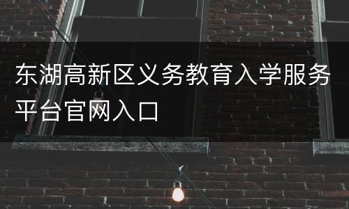 东湖高新区义务教育入学服务平台官网入口