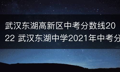 武汉东湖高新区中考分数线2022 武汉东湖中学2021年中考分数线