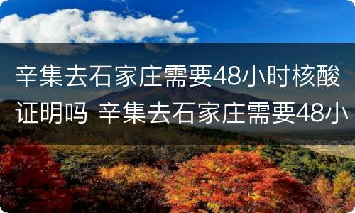 辛集去石家庄需要48小时核酸证明吗 辛集去石家庄需要48小时核酸证明吗现在