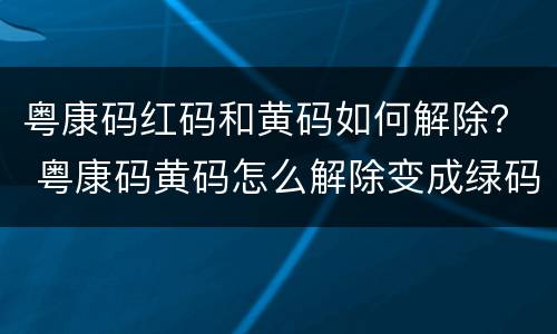 粤康码红码和黄码如何解除？ 粤康码黄码怎么解除变成绿码