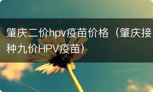 肇庆二价hpv疫苗价格（肇庆接种九价HPV疫苗）