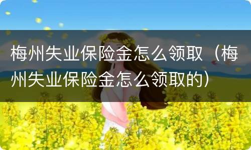 梅州失业保险金怎么领取（梅州失业保险金怎么领取的）