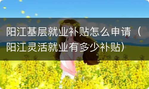 阳江基层就业补贴怎么申请（阳江灵活就业有多少补贴）