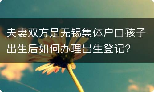 夫妻双方是无锡集体户口孩子出生后如何办理出生登记?