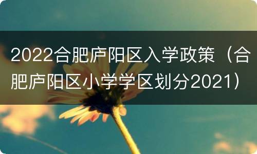 2022合肥庐阳区入学政策（合肥庐阳区小学学区划分2021）