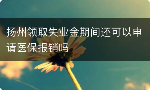 扬州领取失业金期间还可以申请医保报销吗