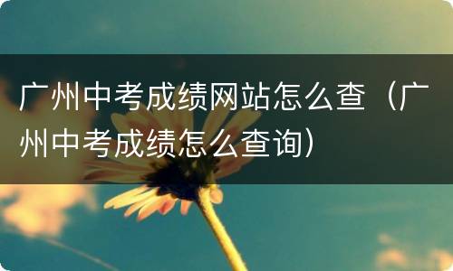 广州中考成绩网站怎么查（广州中考成绩怎么查询）