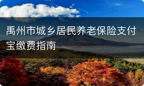 禹州市城乡居民养老保险支付宝缴费指南
