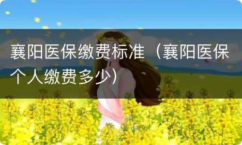 襄阳医保缴费标准（襄阳医保个人缴费多少）