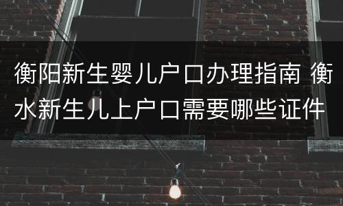 衡阳新生婴儿户口办理指南 衡水新生儿上户口需要哪些证件