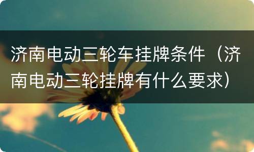 济南电动三轮车挂牌条件（济南电动三轮挂牌有什么要求）