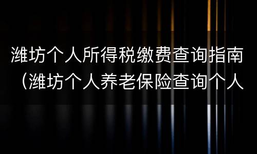 潍坊个人所得税缴费查询指南（潍坊个人养老保险查询个人账户查询）