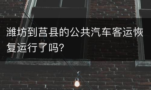 潍坊到莒县的公共汽车客运恢复运行了吗？