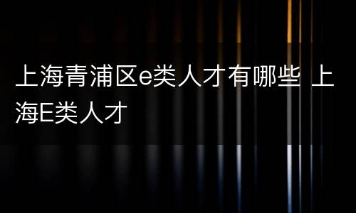 上海青浦区e类人才有哪些 上海E类人才