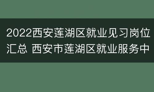 2022西安莲湖区就业见习岗位汇总 西安市莲湖区就业服务中心
