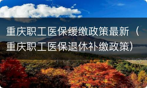 重庆职工医保缓缴政策最新（重庆职工医保退休补缴政策）