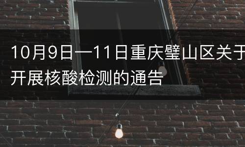 10月9日—11日重庆璧山区关于开展核酸检测的通告