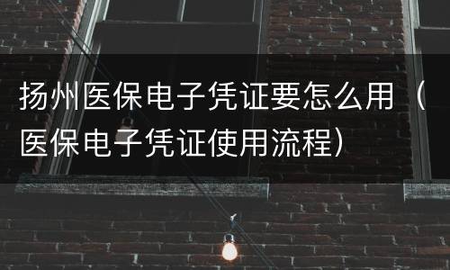 扬州医保电子凭证要怎么用（医保电子凭证使用流程）