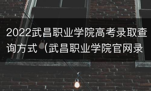 2022武昌职业学院高考录取查询方式（武昌职业学院官网录取查询）