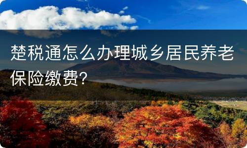 楚税通怎么办理城乡居民养老保险缴费？