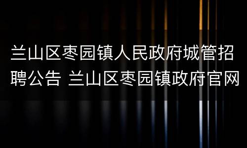兰山区枣园镇人民政府城管招聘公告 兰山区枣园镇政府官网