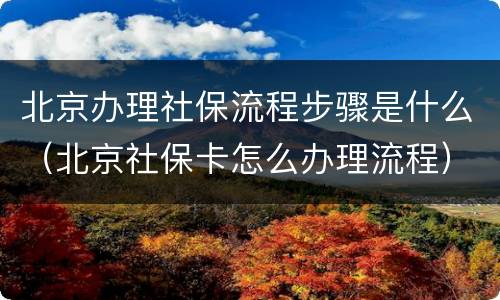 北京办理社保流程步骤是什么（北京社保卡怎么办理流程）