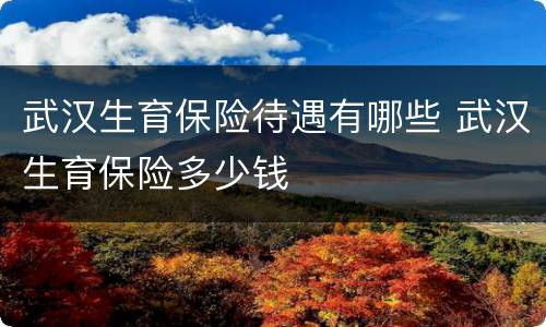 武汉生育保险待遇有哪些 武汉生育保险多少钱