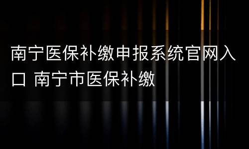 南宁医保补缴申报系统官网入口 南宁市医保补缴