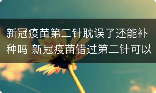 新冠疫苗第二针耽误了还能补种吗 新冠疫苗错过第二针可以补打吗