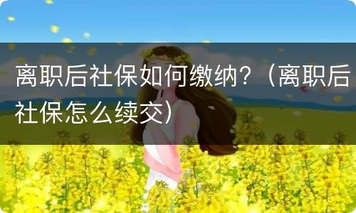 离职后社保如何缴纳?（离职后社保怎么续交）