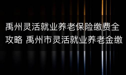 禹州灵活就业养老保险缴费全攻略 禹州市灵活就业养老金缴费截止日期
