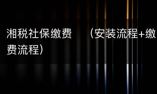 湘税社保缴费​（安装流程+缴费流程）