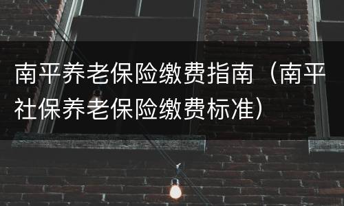 南平养老保险缴费指南（南平社保养老保险缴费标准）