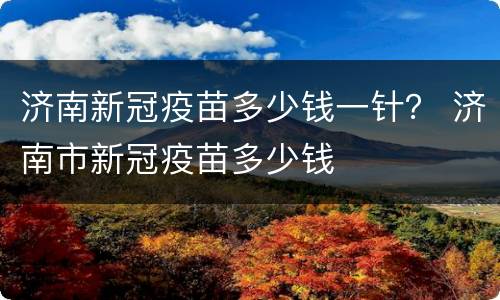 济南新冠疫苗多少钱一针？ 济南市新冠疫苗多少钱