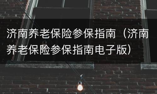 济南养老保险参保指南（济南养老保险参保指南电子版）
