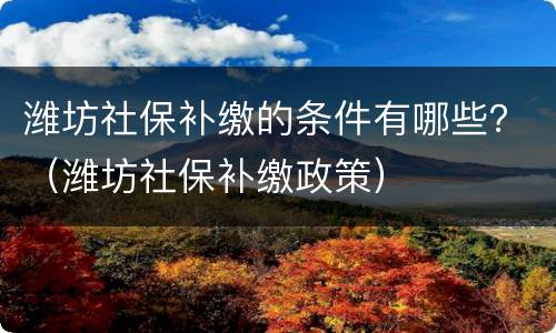 潍坊社保补缴的条件有哪些？（潍坊社保补缴政策）