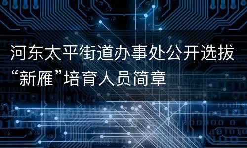 河东太平街道办事处公开选拔“新雁”培育人员简章