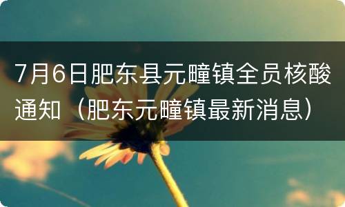 7月6日肥东县元疃镇全员核酸通知（肥东元疃镇最新消息）
