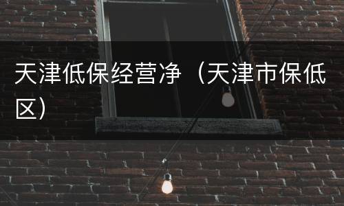 天津低保经营净（天津市保低区）