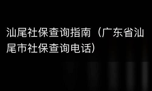 汕尾社保查询指南（广东省汕尾市社保查询电话）