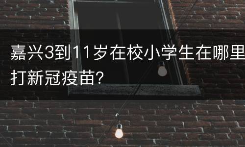 嘉兴3到11岁在校小学生在哪里打新冠疫苗？