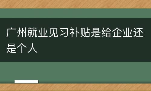 广州就业见习补贴是给企业还是个人