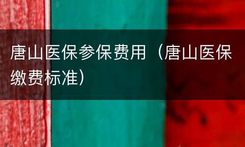 唐山医保参保费用（唐山医保缴费标准）